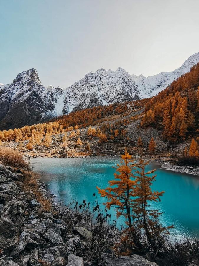 Charmant T2 Proche Serre Chevalier Vallee 4 Personnes Briancon  Ngoại thất bức ảnh